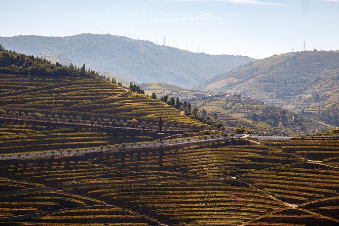 Private Douro 4x4 Adventure from Porto with Deluxe Pic nic - Porto to the Douro in one smooth motion