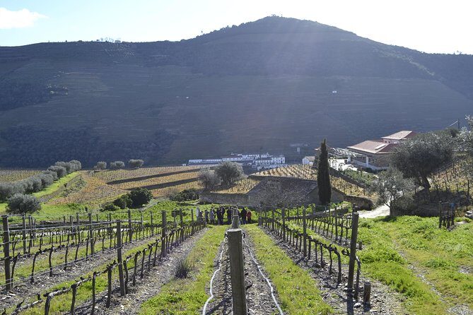 Private Douro 4x4 Adventure from Porto with Deluxe Pic nic - Quinta Seara d’Ordens: winery visit, wine tasting, and port