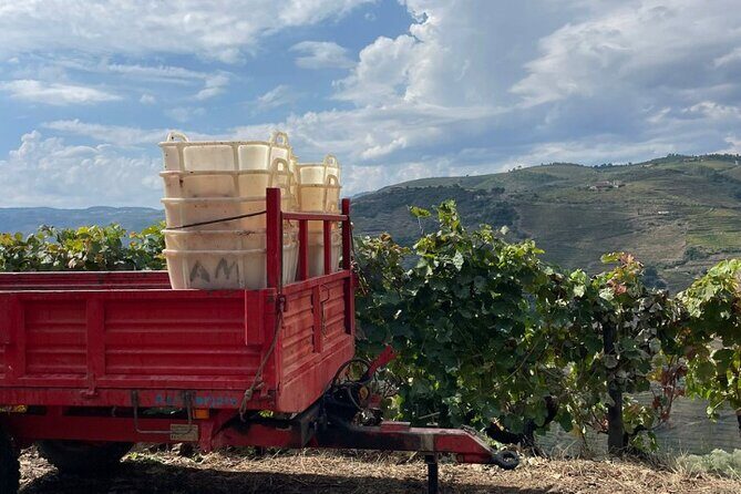 Private Douro 4x4 Adventure from Porto with Deluxe Pic nic - Timing, comfort, and how to get the most out of 9 hours