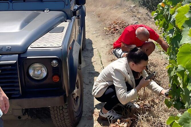 Private Douro 4x4 Adventure from Porto with Deluxe Pic nic - Price, what you get for $393.20, and how to judge the value