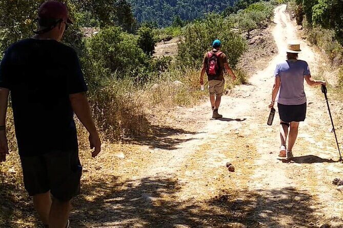 Private Douro and Porto 4x4 Tour with Wine Tasting and Boat Trip - Wine Tasting: How to Get the Most Out of It