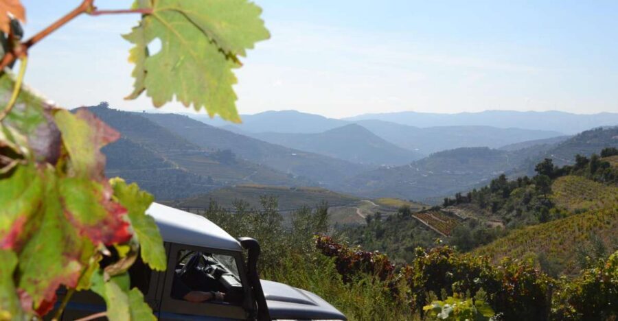 Private Douro Valley 4WD Tour with Wine Tasting and Picnic - São Leonardo de Galafura picnic: lunch with real scenery