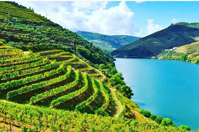 Private Douro Valley Food and Wine Tour From Porto - Peso da Régua: your first Douro River viewpoint, in just 30 minutes