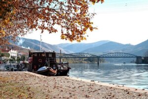 Private Douro Valley Tour: Boutique Winery & River Cruise - Key things to look forward to