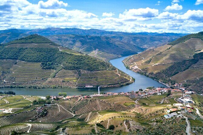 Private Douro Valley Tour: Boutique Winery & River Cruise - Starting in Porto: pickup that saves real time