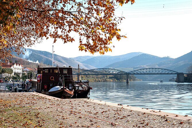 Private Douro Valley Tour: Boutique Winery & River Cruise - Key things to look forward to