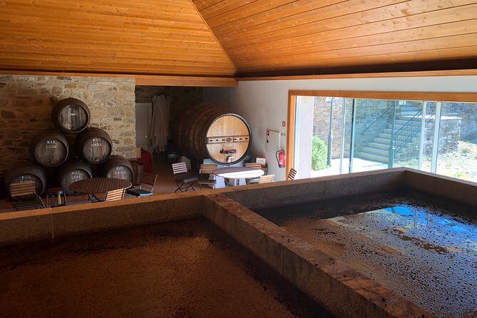 Private Douro Valley Tour from Porto - Why this private Douro day feels worth your time