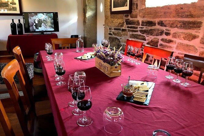 Private Douro Valley Tour from Porto - Transportation and comfort: what to expect on a private 9-hour day