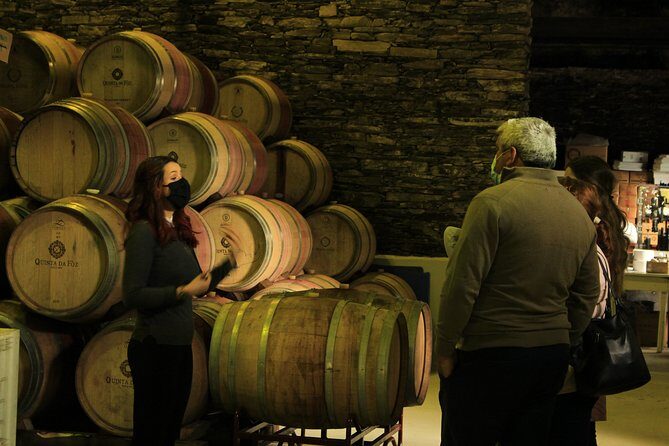 Private Douro Valley Tour from Porto - Port wine farm visit: how the tasting theme becomes real
