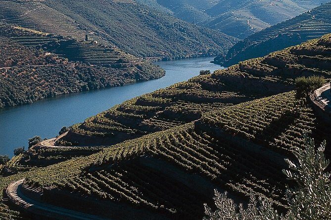 Private Douro Valley Tour Includes Wine Tasting and Boat Tour - Pickup in Porto and Vila Nova de Gaia: the day starts when you do