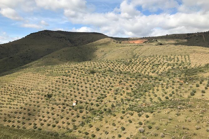 Private Douro Valley Tour Includes Wine Tasting and Boat Tour - The Magalhães birthplace village: small detour, big timeframe