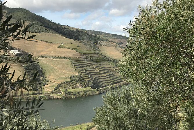 Private Douro Valley Tour Includes Wine Tasting and Boat Tour - Boat tour vs second wine tasting: why the itinerary can change