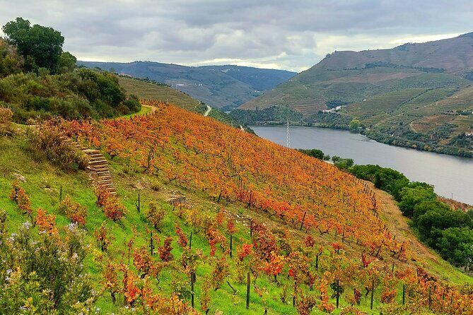 Private Douro Valley UNESCO Wine Tour from Porto with Lunch - The 1-hour boat trip: the best payoff for the drive