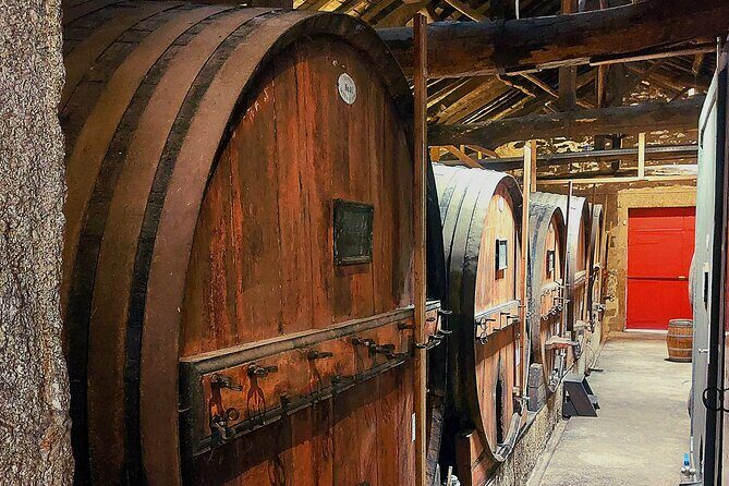 Private Douro Valley UNESCO Wine Tour from Porto with Lunch - Private Mercedes-Benz van with Wi‑Fi: comfort that matters more than you expect