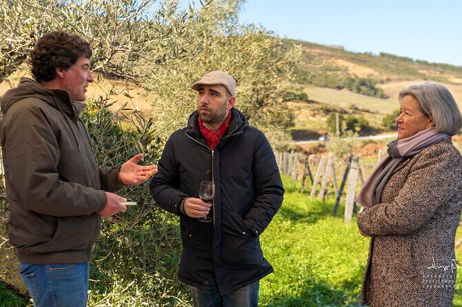 Private Douro Valley UNESCO Wine Tour from Porto with Lunch - Pickup and timing: what you need to plan around
