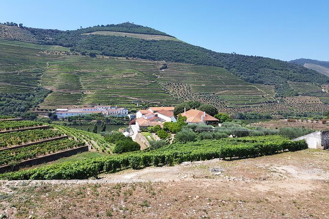 Private Douro Valley visit to three vineyards with Lunch from Porto - A Private Douro Valley Day That Actually Runs Like a Day