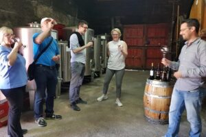 Private Douro Valley visit to three vineyards with Lunch from Porto - Morning Pickup From Porto: What To Expect From the Start