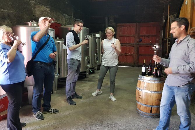 Private Douro Valley visit to three vineyards with Lunch from Porto - Morning Pickup From Porto: What To Expect From the Start