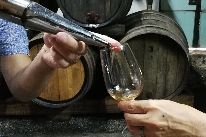 Private Douro Valley Wine Tour - Douro Valley: Why This UNESCO Day Feels Worth It