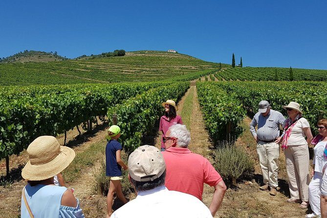 Private Douro Valley Wine Tour: 2 Wine Estates, Lunch and Cruise - Quick hits before you go