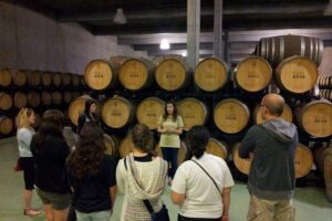 Private Douro Valley Wine Tour: 2 Wine Estates, Lunch and Cruise - Hotel pickup and the drive north: history facts while you ride