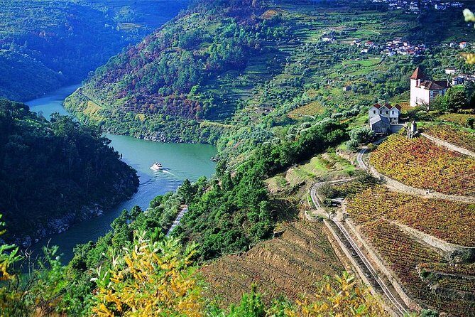 Private Douro Valley Wine Tour: 2 Wine Estates, Lunch and Cruise - Winery #2: the second tasting, the port story, and three wine samples