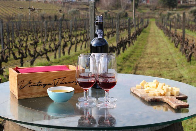 Private Douro Valley Wine Tour: 2 Wine Estates, Lunch and Cruise - How much wine vs. how much history: adjust your expectations early