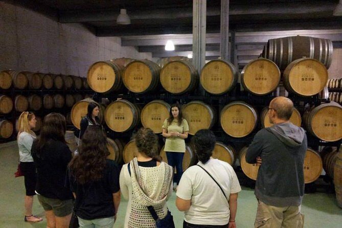 Private Douro Valley Wine Tour: 2 Wine Estates, Lunch and Cruise - Hotel pickup and the drive north: history facts while you ride