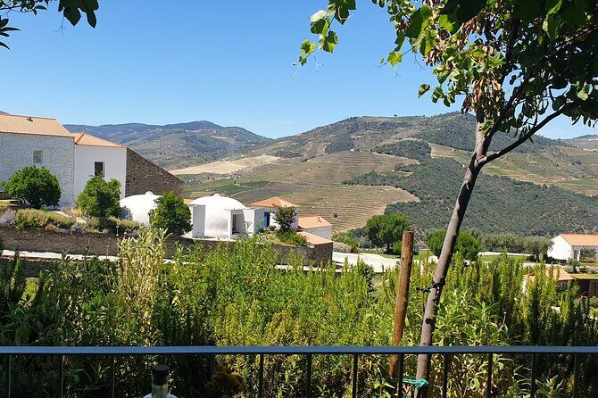 Private full-Day Tour to Douro Valley - Key highlights you should care about