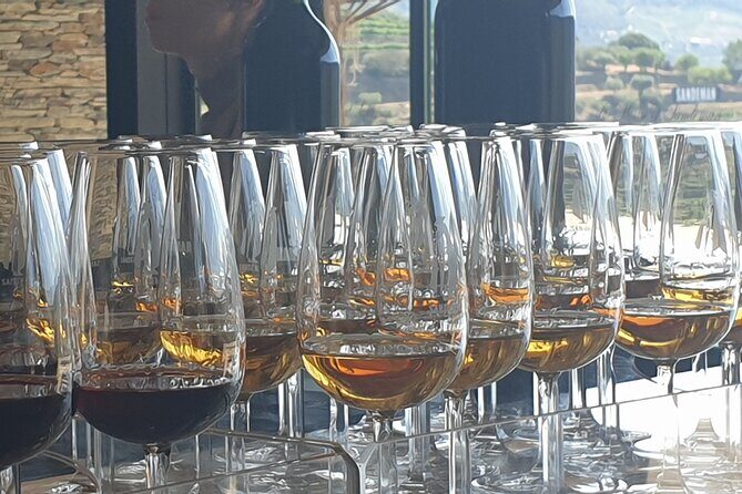 Private full-Day Tour to Douro Valley - Olive Oil Museum and Casal de Loivos Viewpoint: A Calm Start