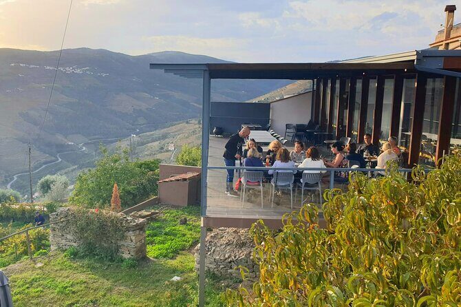 Private full-Day Tour to Douro Valley - D’Origem: Olive Oil Tasting Plus Table Wine With the View