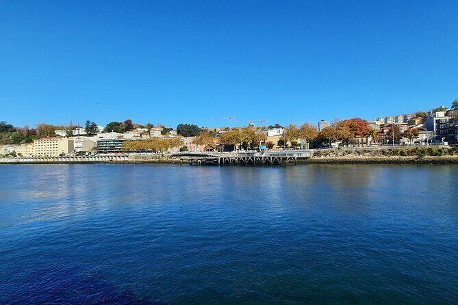 Private Porto City Half Day Tour with River Cruise & Wine Tasting - The Douro River sailing cruise with wine tasting: the highlight you feel in your body