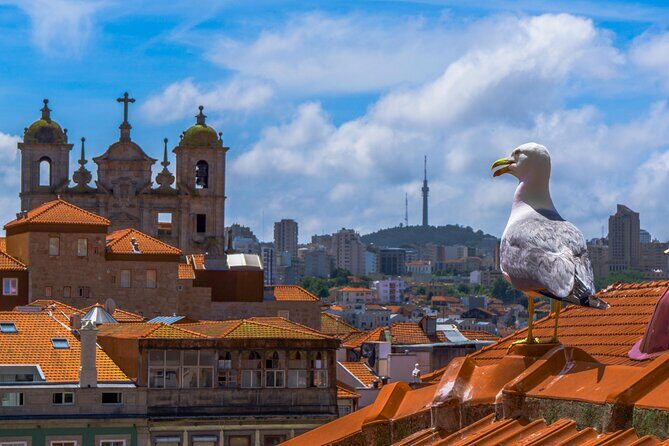 PRIVATE Porto walking tour with historian - Price, Timing, and Value for a Private Cathedral Day