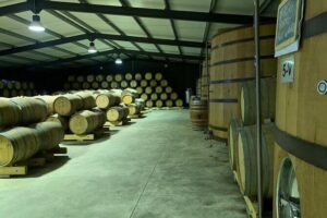 Private Tour - Stop 2: Pinhão tastings in a place built on stony soils