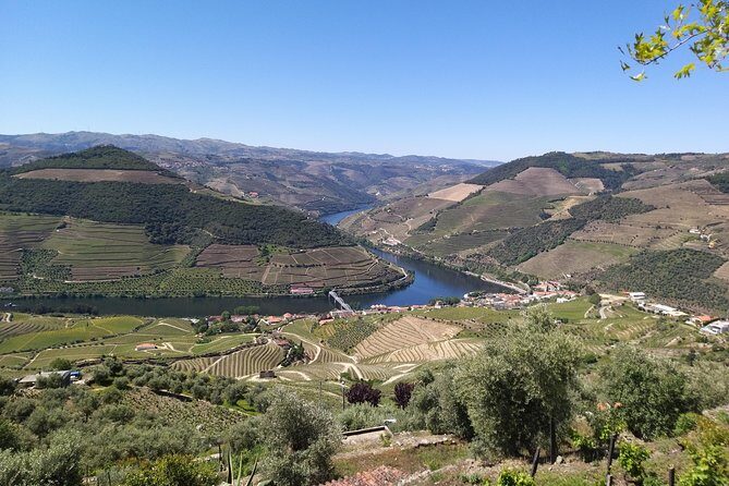 Private Tour to stunning Douro Valley and most renowned wineries - Key Things to Know Before You Go