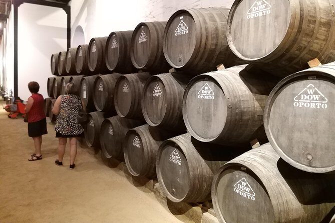 Private Tour to stunning Douro Valley and most renowned wineries - The Vehicle Comfort That Actually Helps on a Long Day