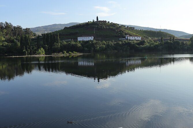 Private tour with 2 wineries and typical harmonized lunch - Stop 1: Peso da Régua small family winery tasting