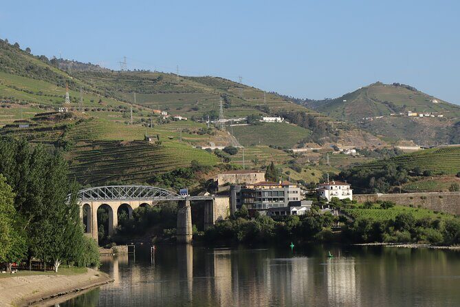 Private tour with 2 wineries and typical harmonized lunch - Stop 2: Lamego winery lunch with wine harmonization