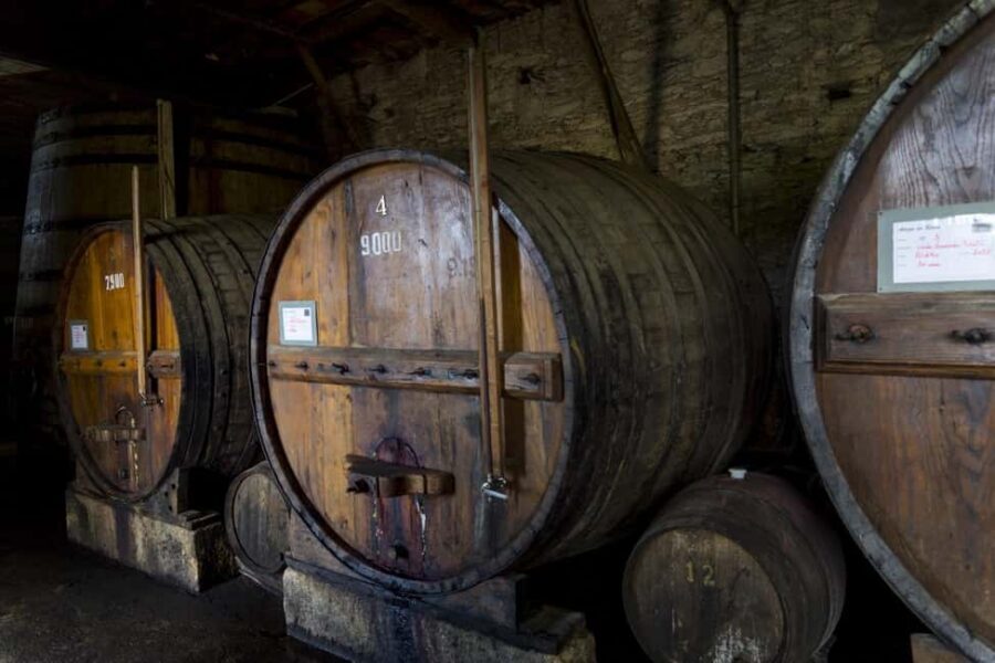 Régua: Wine Tasting at a Farm, Traditional Lunch, Cruise and Train - A small-group Douro day: wine, farm lunch, cruise, and rail