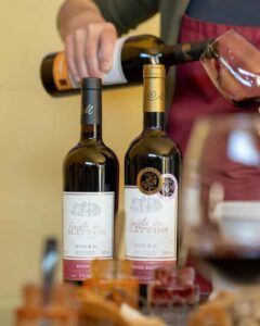 Régua: Wine Tasting at a Farm, Traditional Lunch, Cruise and Train - Coimbra de Mattos wine tasting: five wines plus Port energy