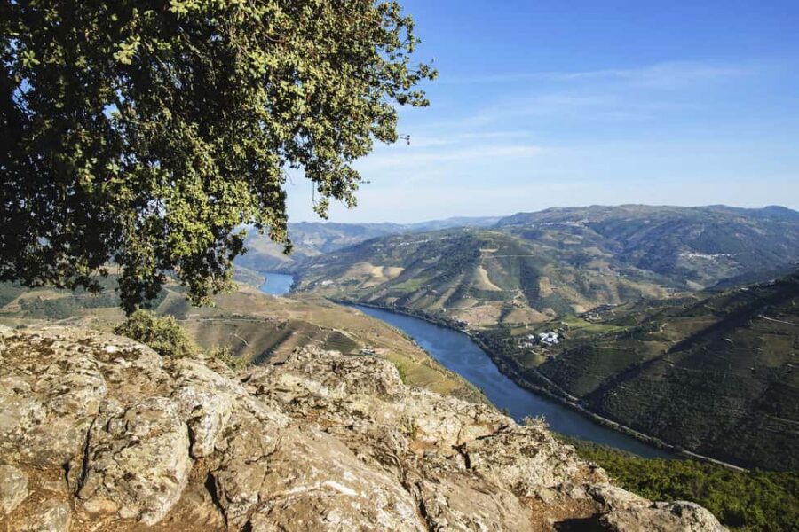 Régua: Wine Tasting at a Farm, Traditional Lunch, Cruise and Train - São Leonardo de Galafura viewpoint: the photo stop that pays off