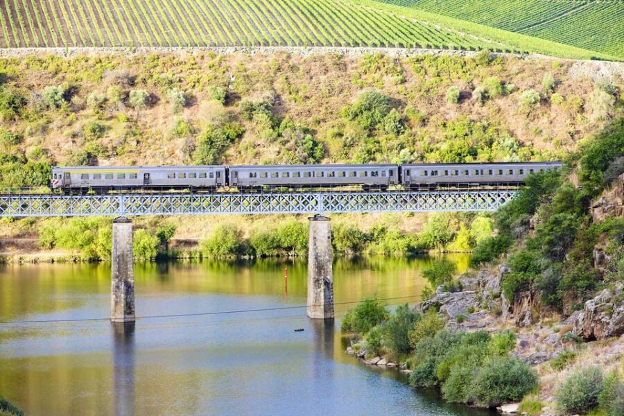 Régua: Wine Tasting at a Farm, Traditional Lunch, Cruise and Train - Who this tour fits best (and who should skip it)