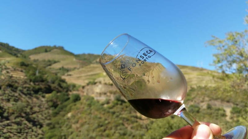 Small Group: Douro Valley Wine Tasting from Porto - Price and Value at $176