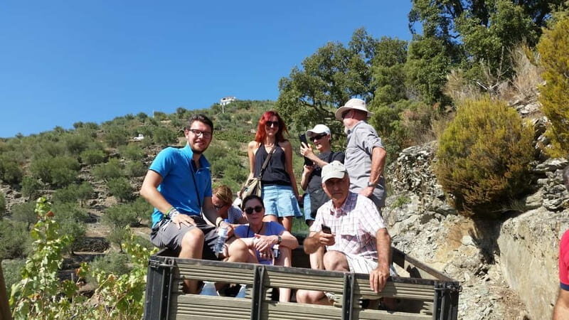 Small Group: Douro Valley Wine Tasting from Porto - Pinhão Port Wine Winery Visit: How to Make the Tastings Count