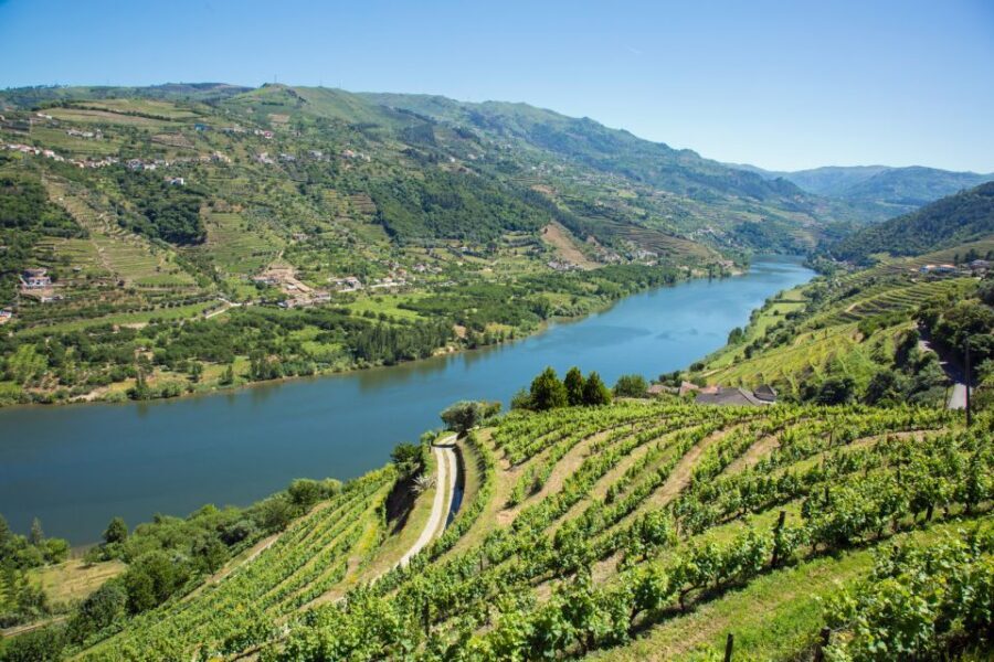 Small Group: Douro Valley Wine Tasting from Porto - The 1-Hour Douro River Boat Cruise That Changes the View