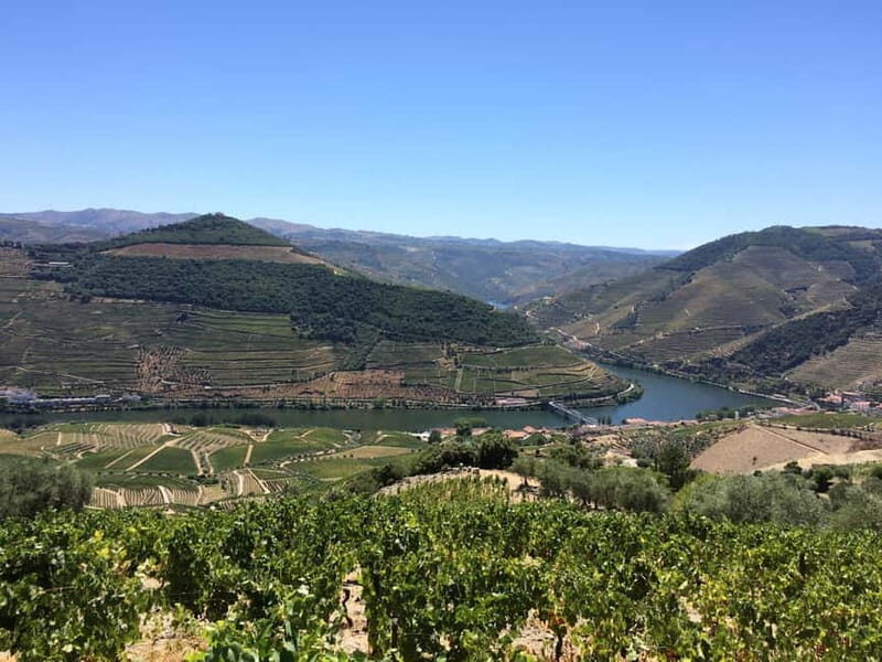 Small Group: Douro Valley Wine Tasting from Porto - Timing, Van Rides, and the Small-Group Comfort Factor