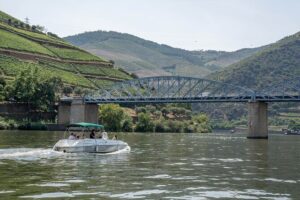 Small Group Douro Valley Wine Tour with Lunch and Cruise - The curvy-drive reality: what the road time really means