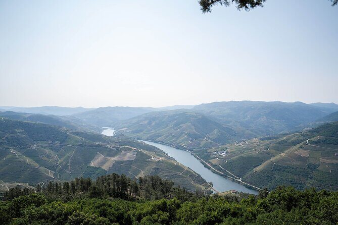 Small Group Douro Valley Wine Tour with Lunch and Cruise - Lunch at the estate: Portuguese flavors with Douro DOC pairing