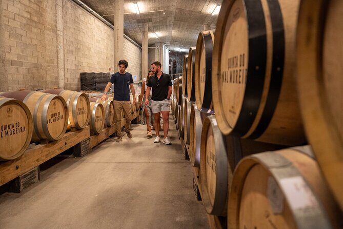 Small Group Douro Valley Wine Tour with Lunch and Cruise - Value check: is $119.42 a good deal?
