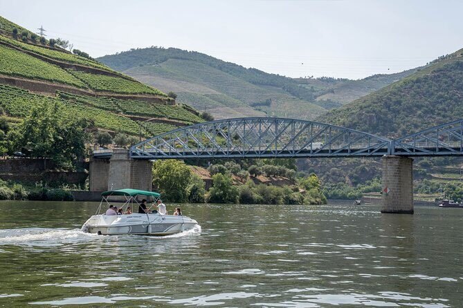 Small Group Douro Valley Wine Tour with Lunch and Cruise - The curvy-drive reality: what the road time really means